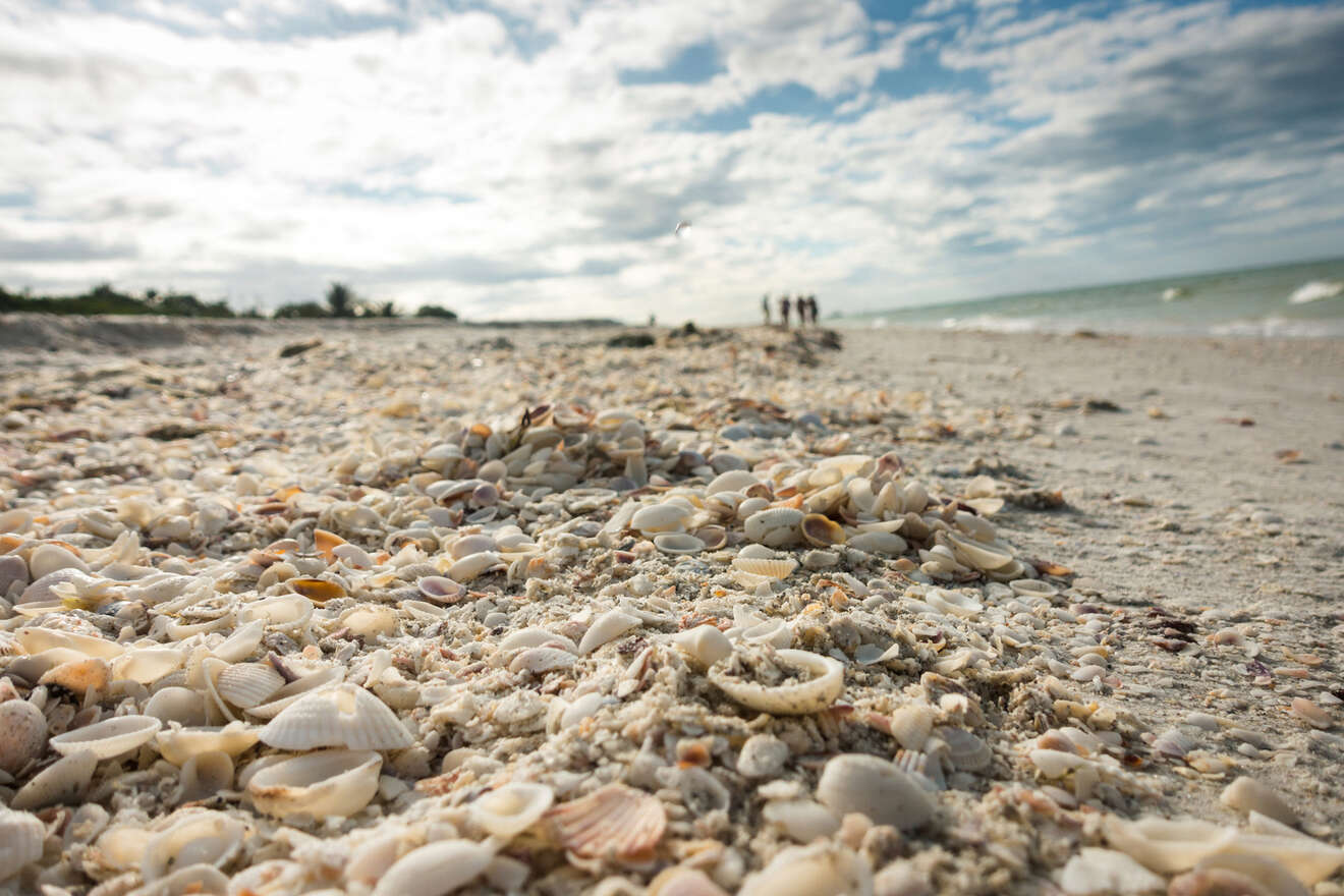 3 best place to stay in Sanibel Island for families